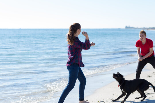 Teenage girl and boy fooling around on the beach with their dog