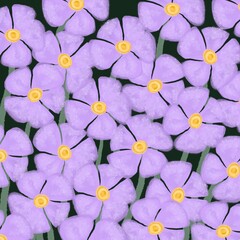 Purple flowers on a dark background