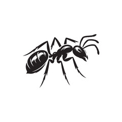 Ant vector (1).eps