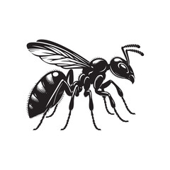 Ant vector (3).eps