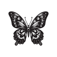 Butterfly vector (1).eps