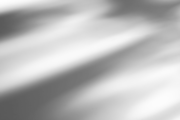 shadow overlay effects of realistic tree branch and foliage leaves shadow isolated on transparent background,Summer abstract shadow overlay ,shadow for photo interior backdrop studio floor mockup