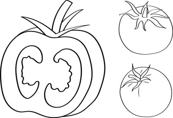Tomato Line Art - Whole and Sliced Vector Illustration.