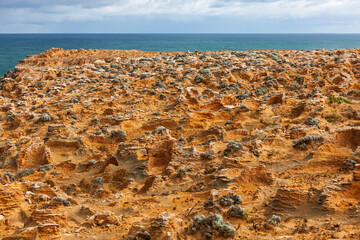 Rocky peninsula at Cape Bridgewater. Dry hostile environment just off the coast of southwestern Victoria, Australia.