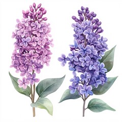 Fototapeta premium Elegant Blue and Purple Floral Bouquet in Digital Illustration
