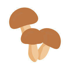 Fototapeta premium Brown mushrooms growing together in a simple, minimalistic design suitable for modern kitchen decor