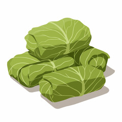 Green Cabbage Heads