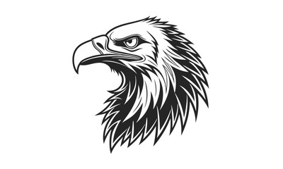 head of eagle