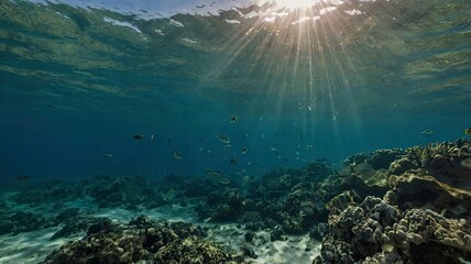 View of the sea water illuminated by the sun. seen from under the sea