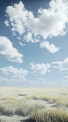 Obraz premium Vast field of dry grass under a bright blue sky