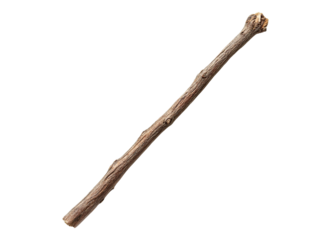 Wooden stick