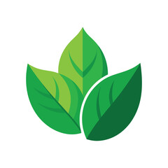 Three Leaves Logo with White Background 