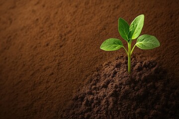 Naklejka premium Growing green plant emerges from dark soil in a nurturing environment