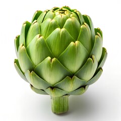 Fototapeta premium Fresh Green Globe Artichoke on a White Background