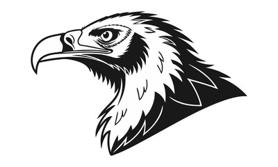 eagle head vector illustration