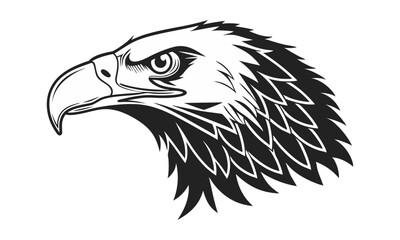 eagle head vector illustration