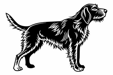 otterhound sihouette black vector