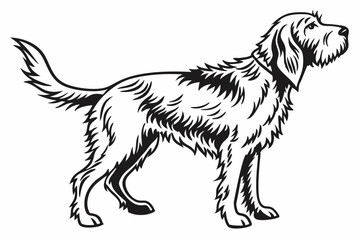 otterhound sihouette black vector