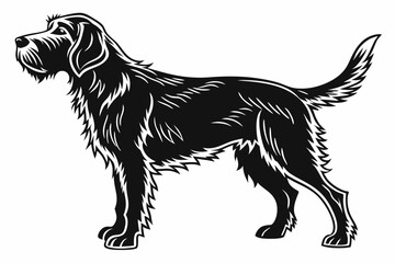 otterhound sihouette black vector