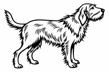 otterhound sihouette black vector