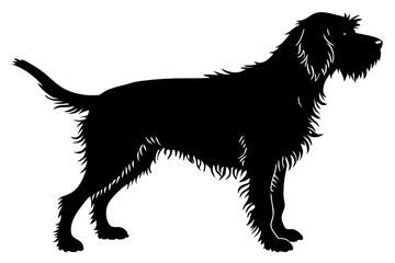 otterhound sihouette black vector