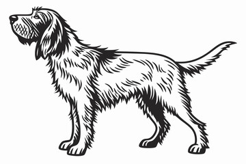 otterhound sihouette black vector