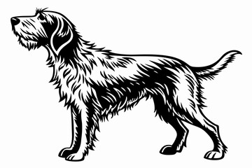 otterhound sihouette black vector