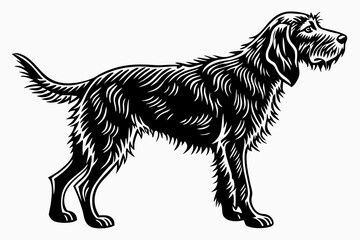 otterhound sihouette black vector