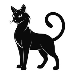 Cat shilhotee vector on white background