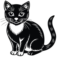 Cat shilhotee vector on white background