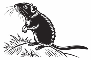 gerbil sihouette black vector