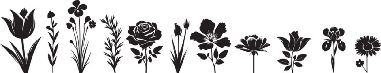 Set of silhouette flowers rose, chamomile, daisy, campanula, iris, Tulip, spring-summer forest and garden field flower, black color isolated vector