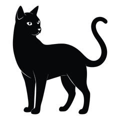 Cat shilhotee vector on white background