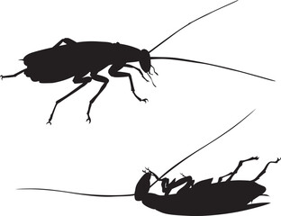 Cockroach_Pest control.eps