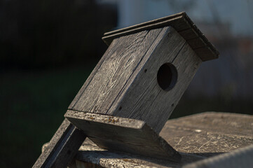 wooden birdhouse
