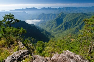 Mountain vista, misty valley
