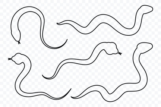 Snake silhouette set. Collection of snake outline line icon in various forms. Snake icon vector illustration