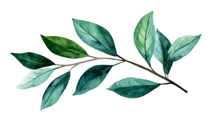 Watercolor illustration of green leaves on a transparent background