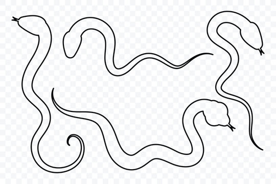 Snake silhouette set. Collection of snake outline line icon in various forms. Snake icon vector illustration