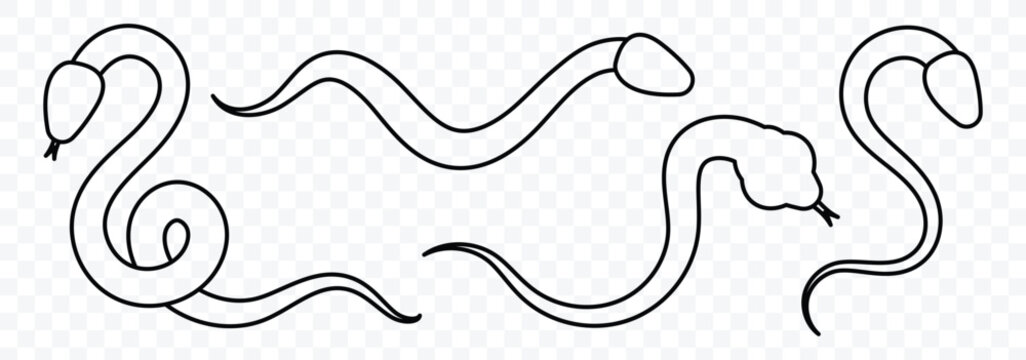 Snake silhouette outline. Snake icon on a white background. Snake sign. Vector illustrator