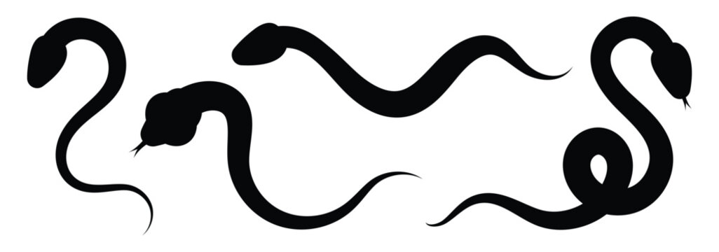 Snake silhouette. Snake silhouette set. Collection of snakes isolated on white background. Snake icon vector illustration