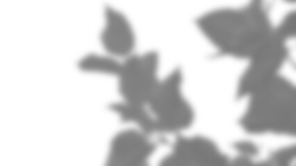 Shadow overlay of leafy plant creates natural artistic effect with soft edges and organic shapes for creative design backgrounds