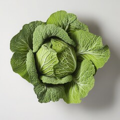 Obraz premium Fresh green cabbage close up shot on a white background