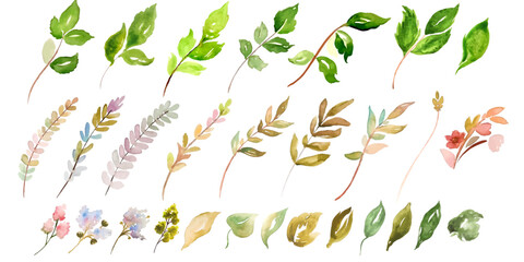 Set of leaves, branches, flowers in watercolour style in vector.