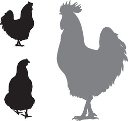 Vector silhouettes_Rooster.eps