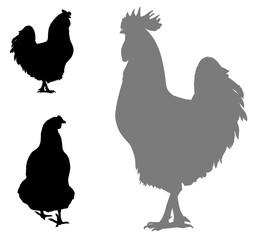 Rooster silhouettes. Farm animals.