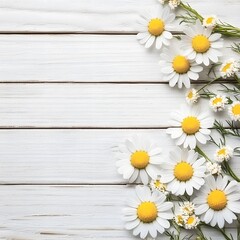 Fototapeta premium White Daisies on Rustic White Wooden Background