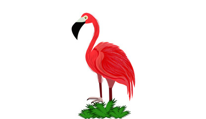 flamingo
