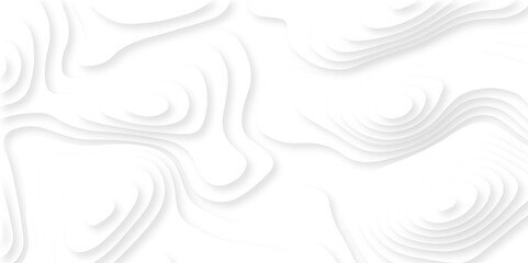Fototapeta premium Abstract Luxury diamond creative topography map background vector natural shadow papercut web topography map spiral line. white light dynamic smooth 3d papercut texture background.