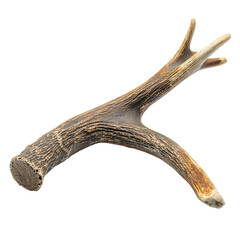 Pet Safe Antler Chew Toy Natural Browns and Durable Isolated on Transparent Background